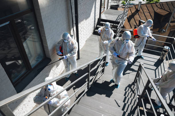 Mold Odor Removal Services in St Pete Beach, FL