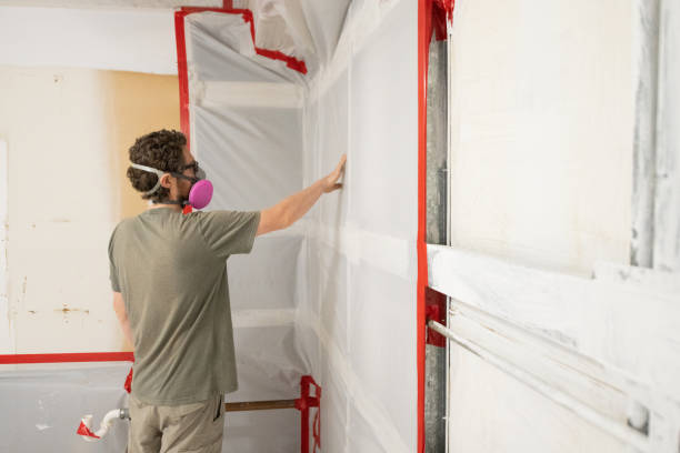 Best Mold Remediation for Healthcare Facilities  in St Pete Beach, FL