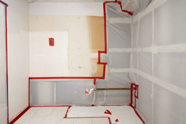 Best Post-Construction Mold Inspection  in St Pete Beach, FL