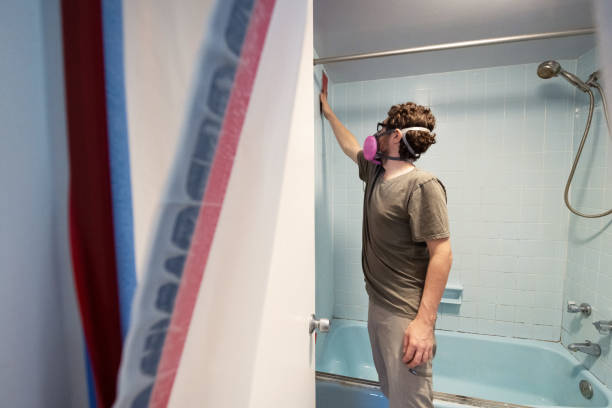 Trusted St Pete Beach, FL Mold Removal Experts