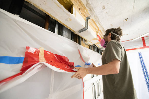 Biohazard Mold Removal in St Pete Beach, FL