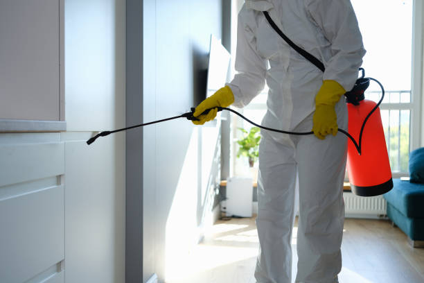 Best Industrial Mold Remediation  in St Pete Beach, FL
