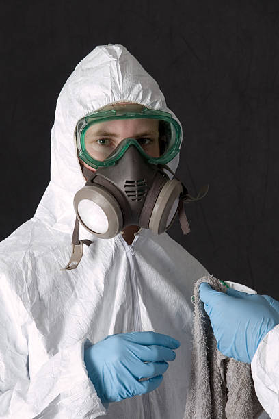Best Mold Documentation for Insurance Claims  in St Pete Beach, FL